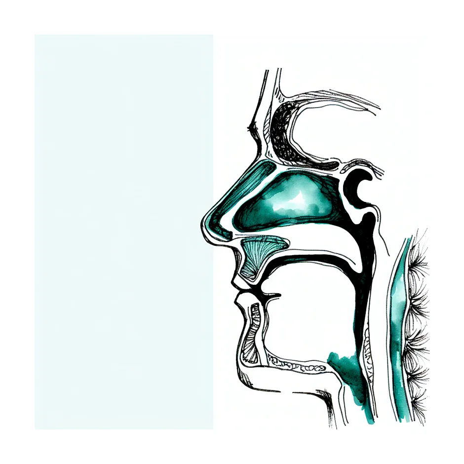 علت آبریزش بینی هنگام غذا خوردن و راه‌حل‌ها
