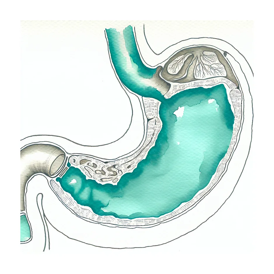 علت تهوع هنگام غذا خوردن و کاهش وزن