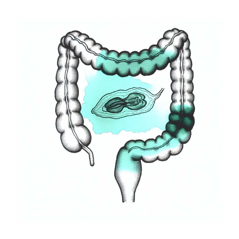 قورت دادن هسته خرما؛ آیا خطر دارد؟