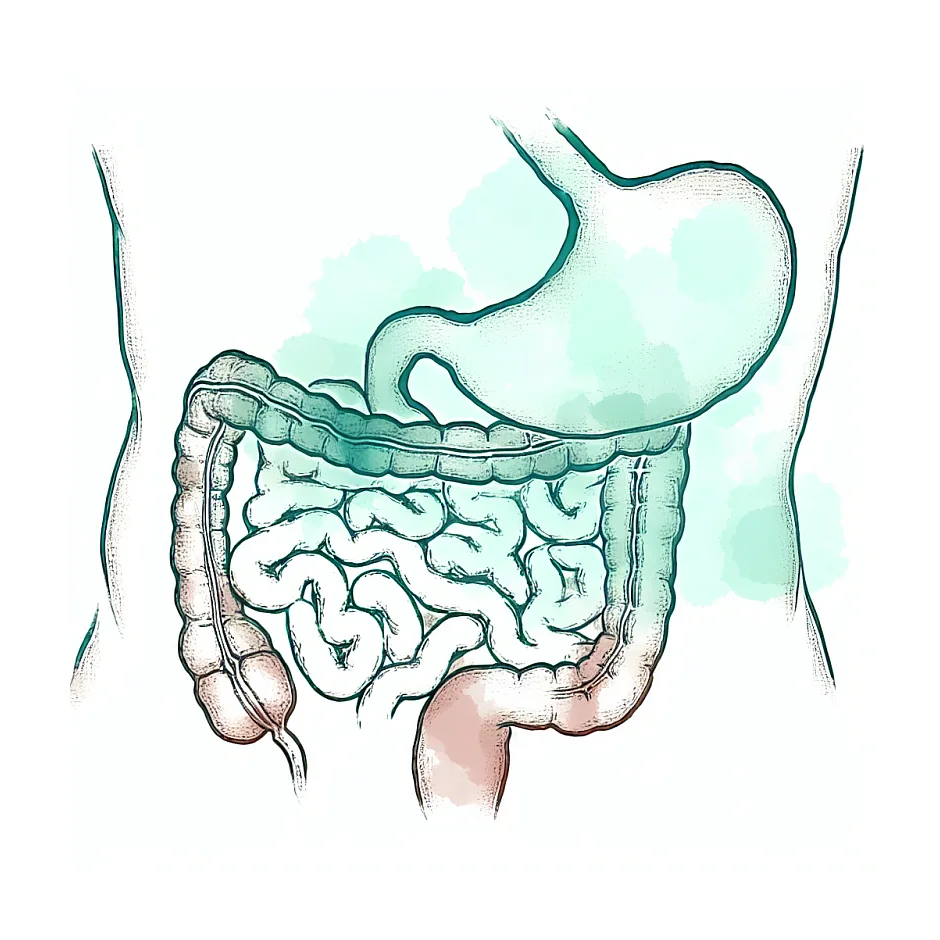 پاسخگویی به سوالات پزشکی - مراقبت از سلامتی با کمک از دکتر