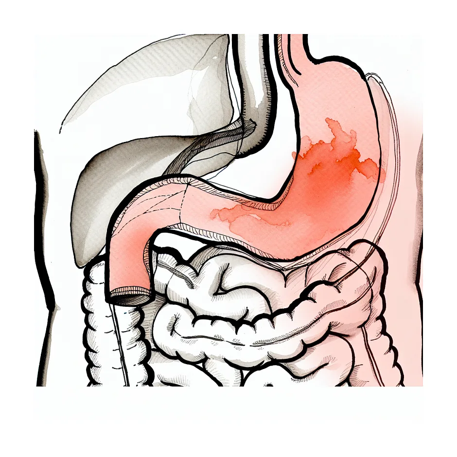 خمیازه زیاد، سوزش و سنگینی معده؛ علت و راه‌حل