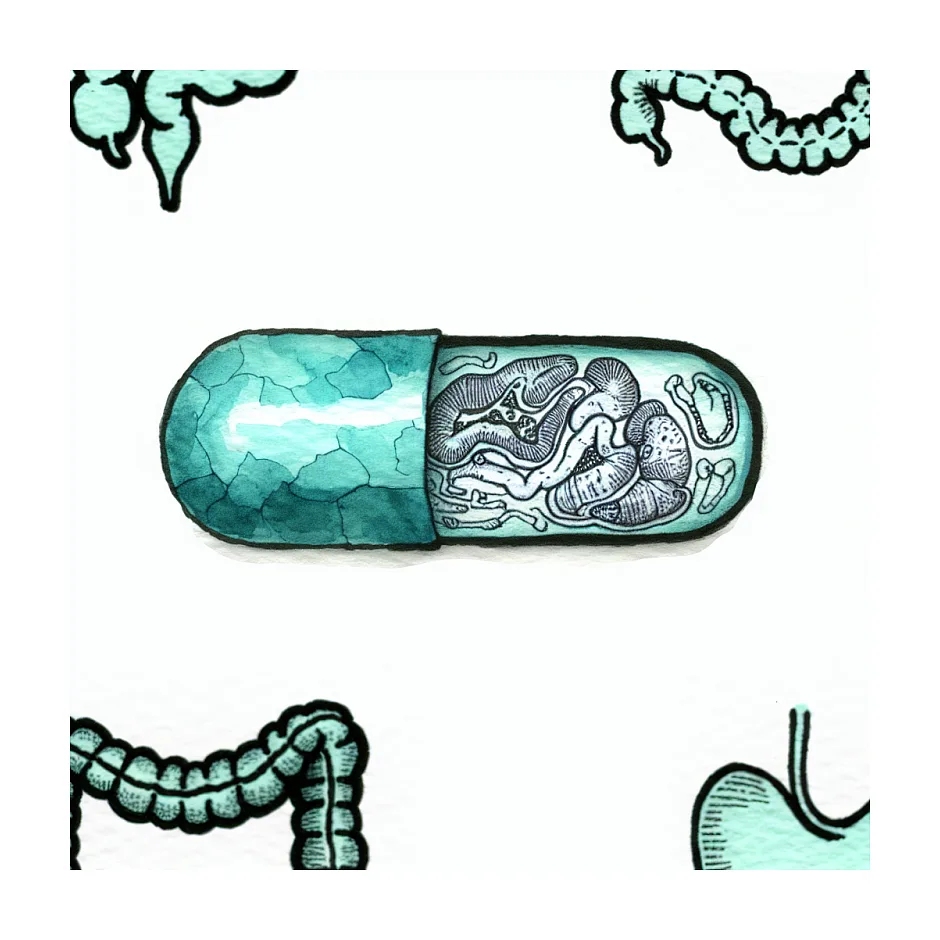 دوز صحیح آموکسی‌سیلین در درمان هلیکوباکتر پیلوری