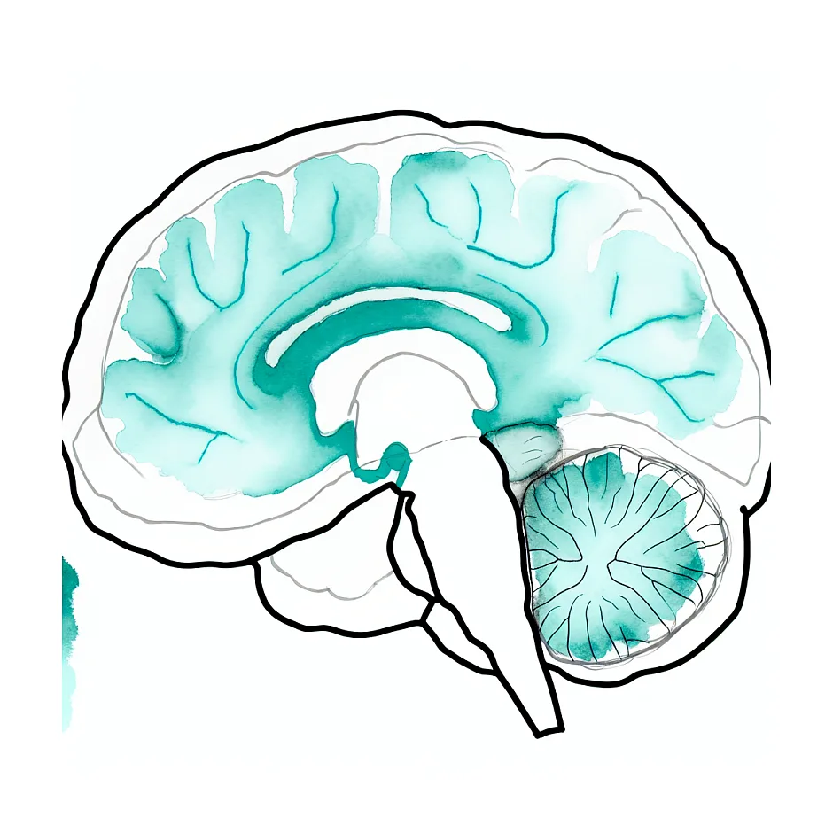 نحوه کم کردن و قطع قرص لوبل ۵۰۰