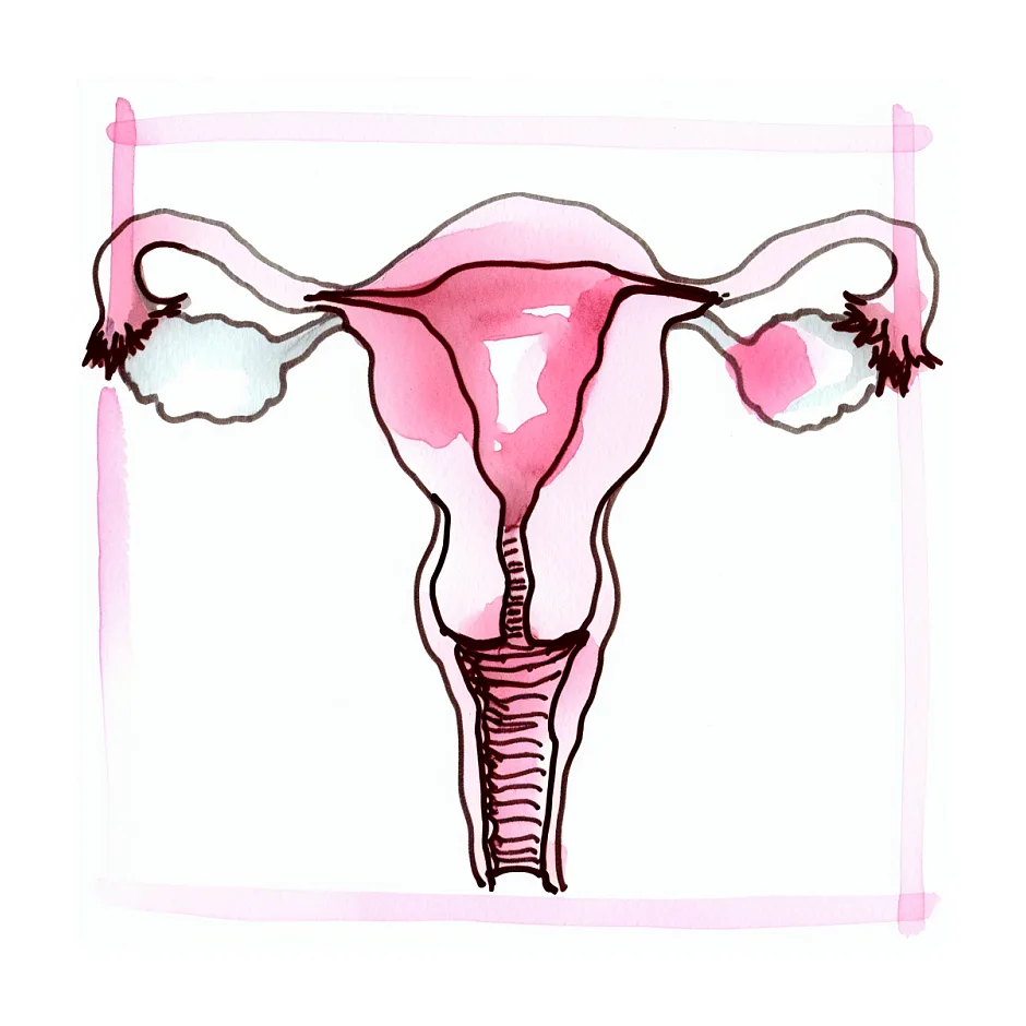 روش درست مصرف قرص بلاژست در دوره دوم