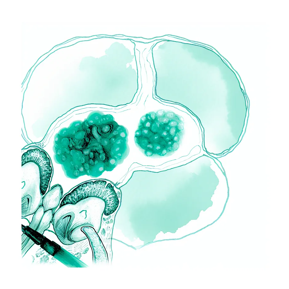 آیا هاری از انسان به انسان منتقل می‌شود؟