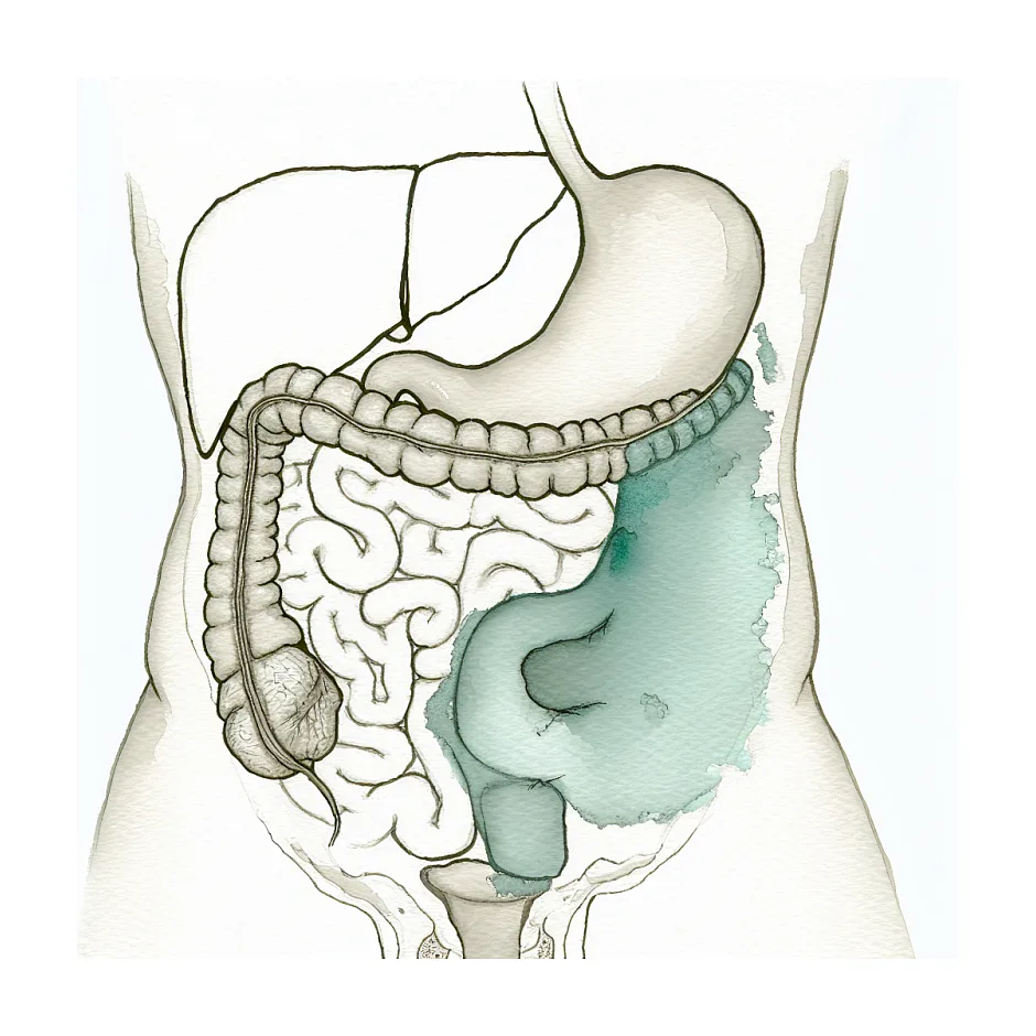 علت ورم سمت چپ شکم و زیر سینه بدون درد