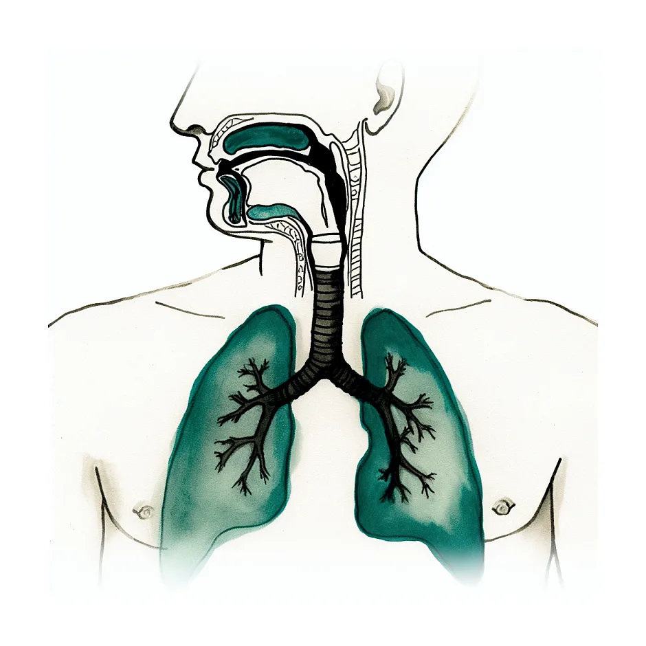مصرف آموکسی‌سیلین در سرماخوردگی و سرفه
