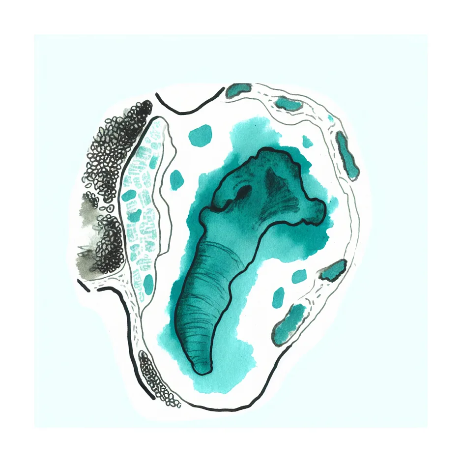 امکان خطا در آزمایش پی‌سی‌آر HPV نوع ۶ و ۱۱