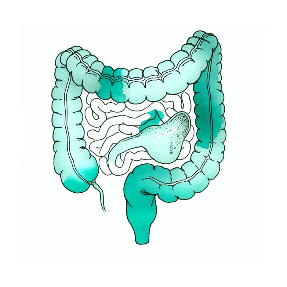 دلپیچه و اسهال بعد از هر غذا؛ علت و راهکار عملی