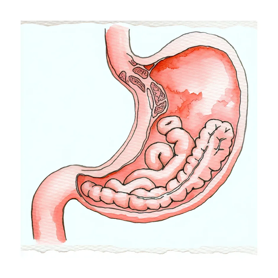 آیا درد معده با روده تحریک‌پذیر مرتبط است؟