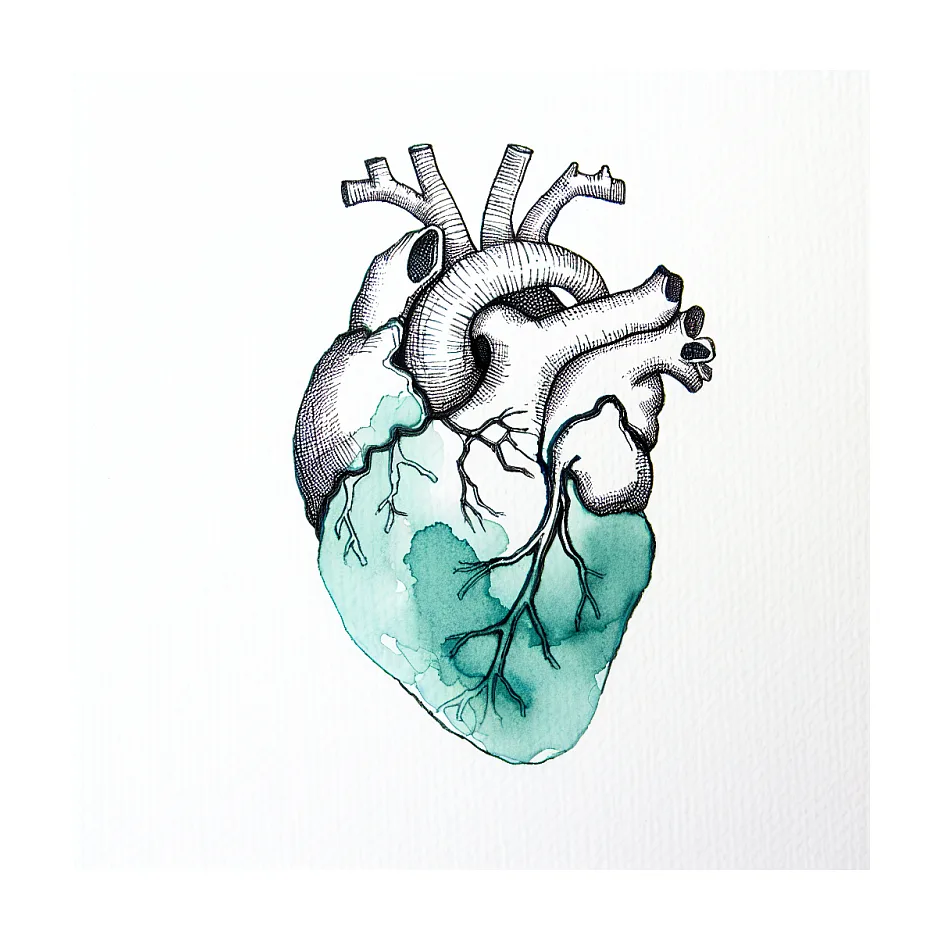 روزه و پایین آمدن ضربان قلب - درک بهتر از کاهش نبض