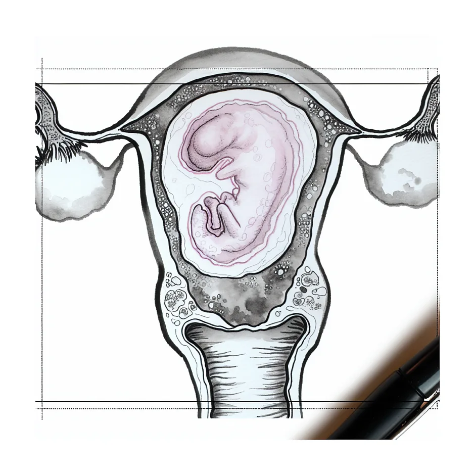 لکه‌بینی در ۷ هفته بارداری با قلب تشکیل‌شده