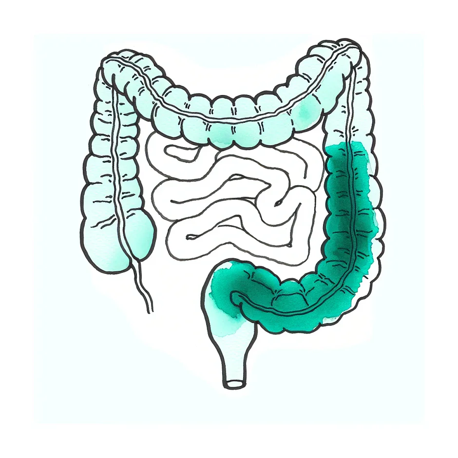 علائم عدم تعادل میکروبی روده و راه های تشخیص آن