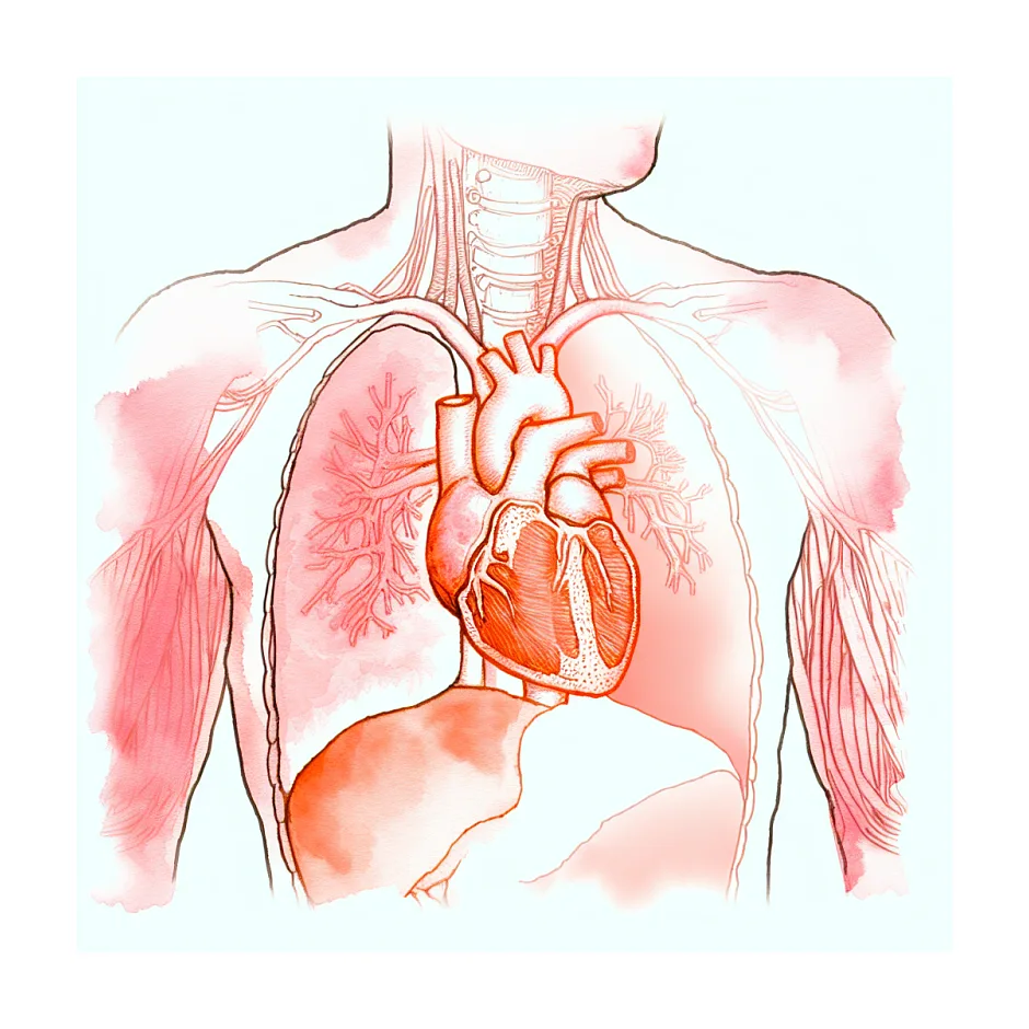 تپش قلب با تنگی نفس و خشکی دهان؛ استرس یا قلب؟