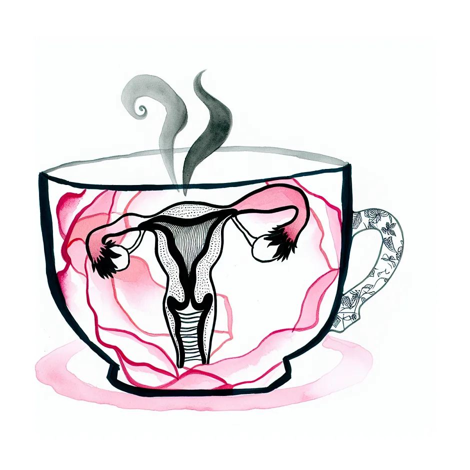 دمنوش گل محمدی در بارداری و خطر سقط جنین