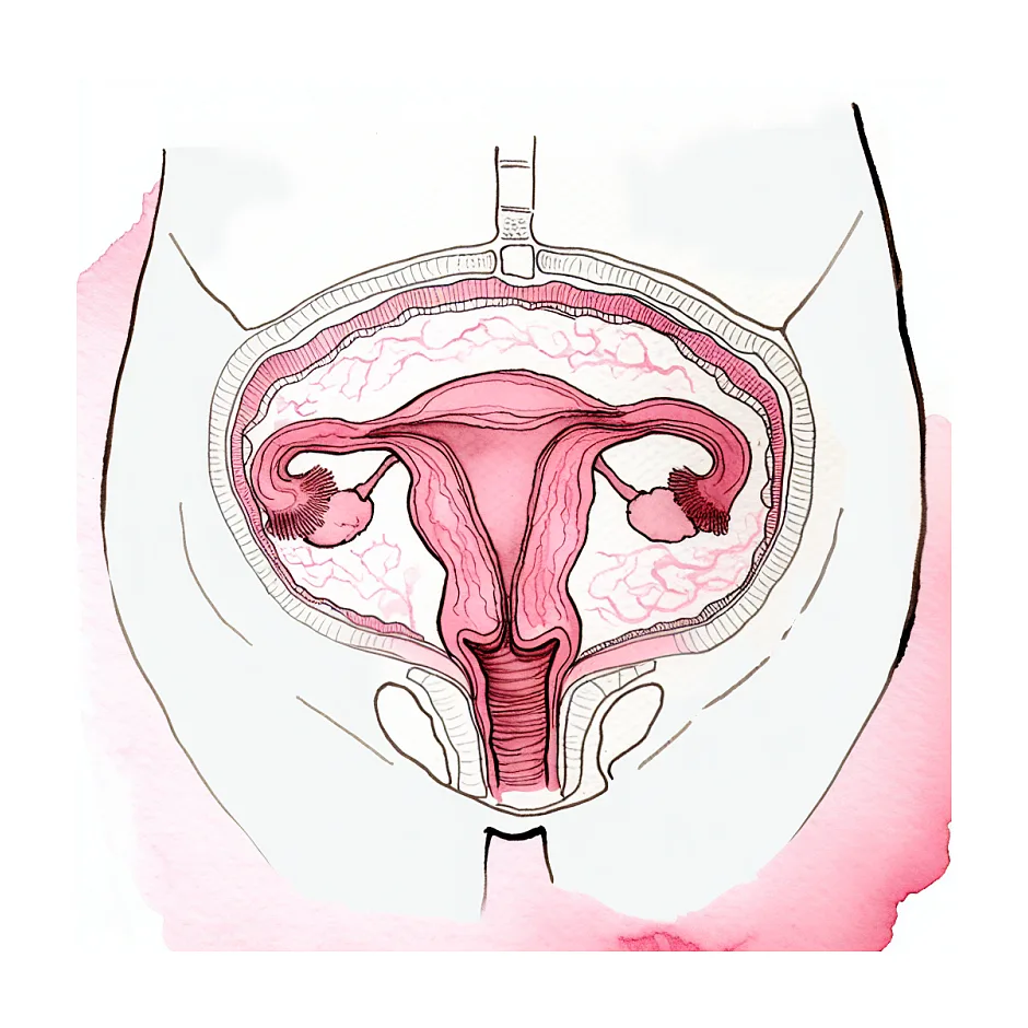 نزدیکی در هفتهٔ ۳۲ بارداری — آیا برای جنین خطر دارد؟