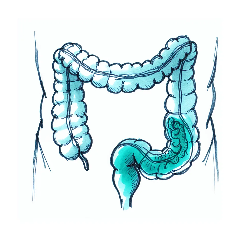 تاثیر شیر و ماست بر یبوست؛ بخوریم یا نخوریم؟