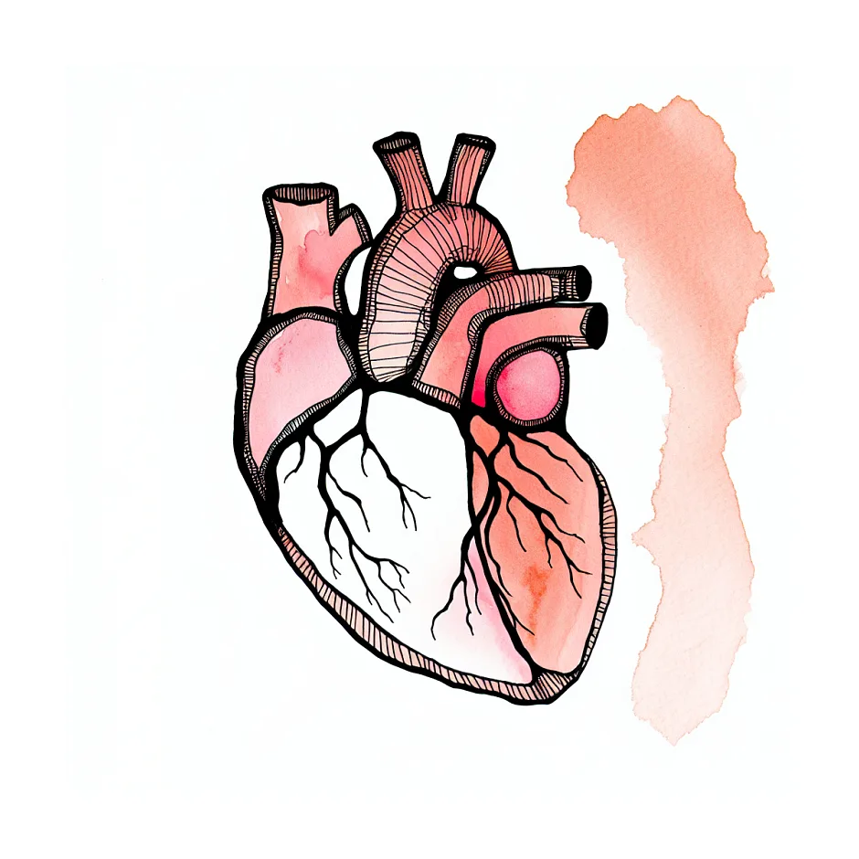 تپش قلب در نوجوانان: آیا نرخ تپش قلب ۹۰ تا ۹۲ خطرناک است؟