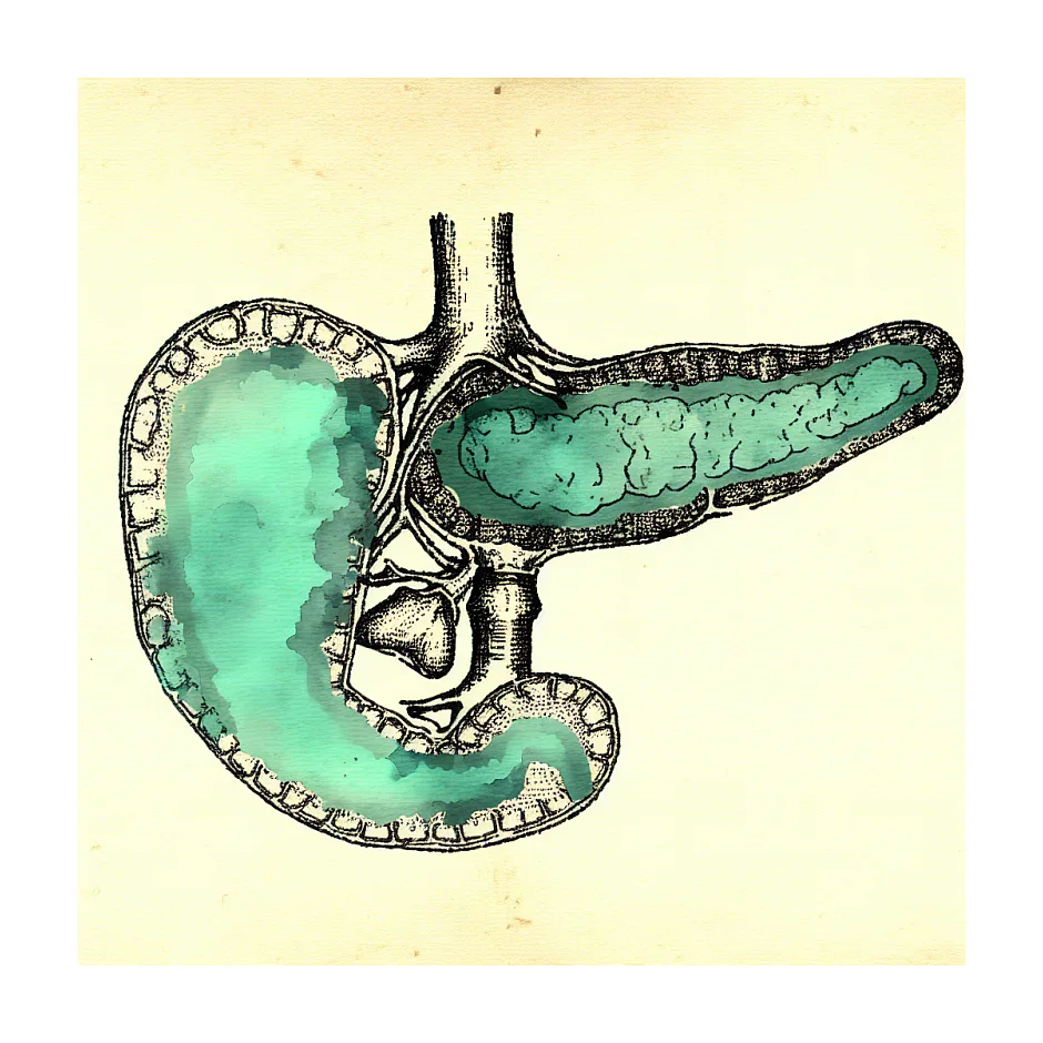 روزه‌داری پس از حذف کیسه صفرا با تریگلیسیرید ۳۰۰