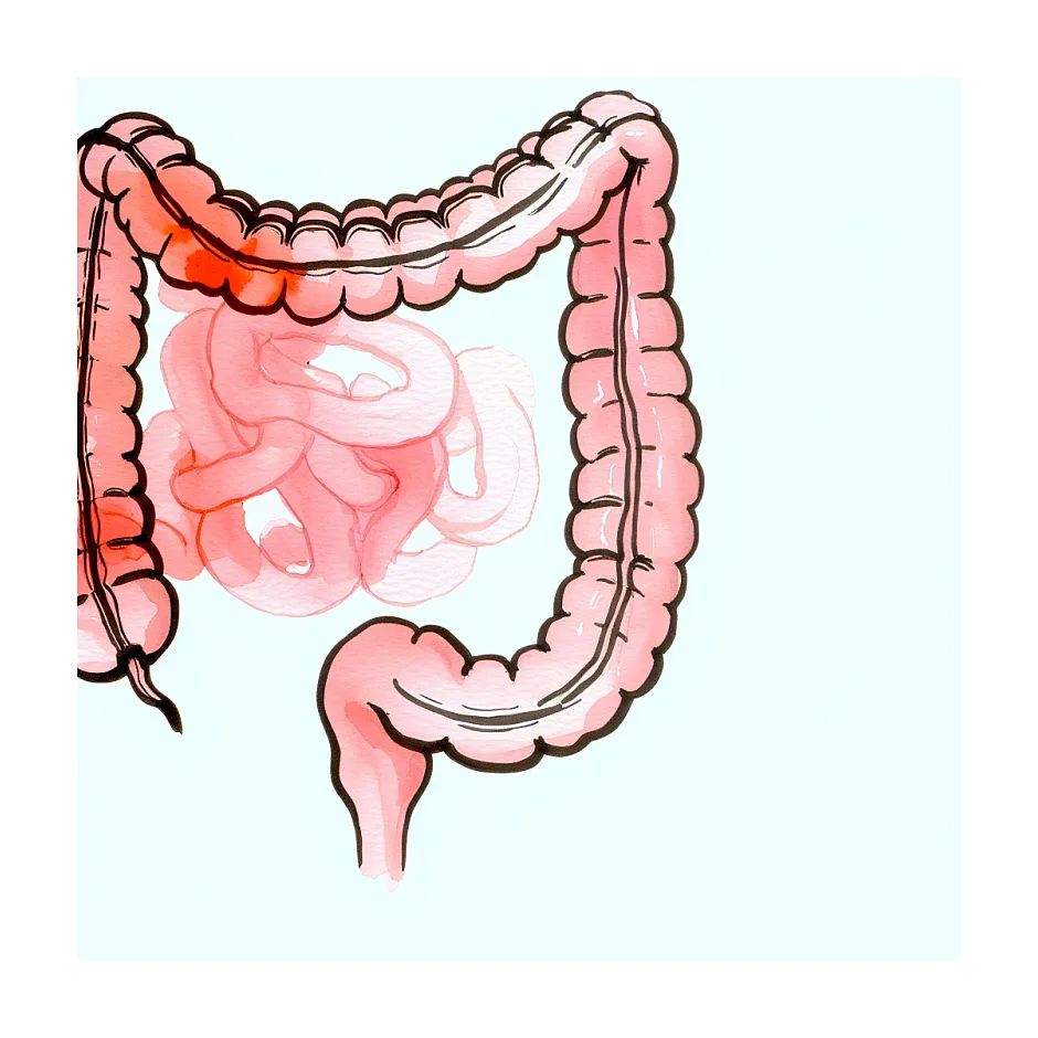 برای یبوست هویج پخته بهتر است یا خام