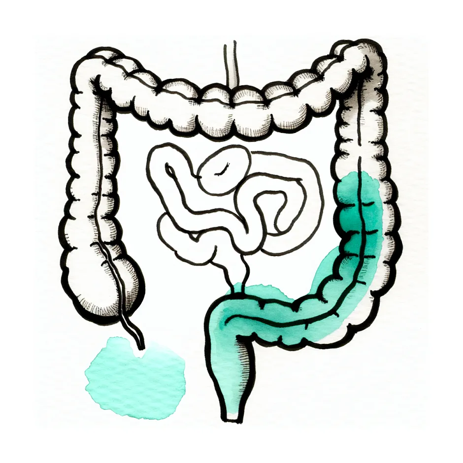 لاغری در سندروم روده تحریک‌پذیر طبیعی است؟