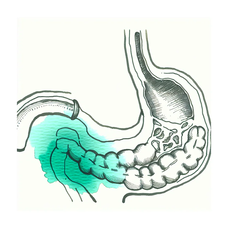 علت ناتوانی در آروغ زدن و احساس گیر کردن گلو