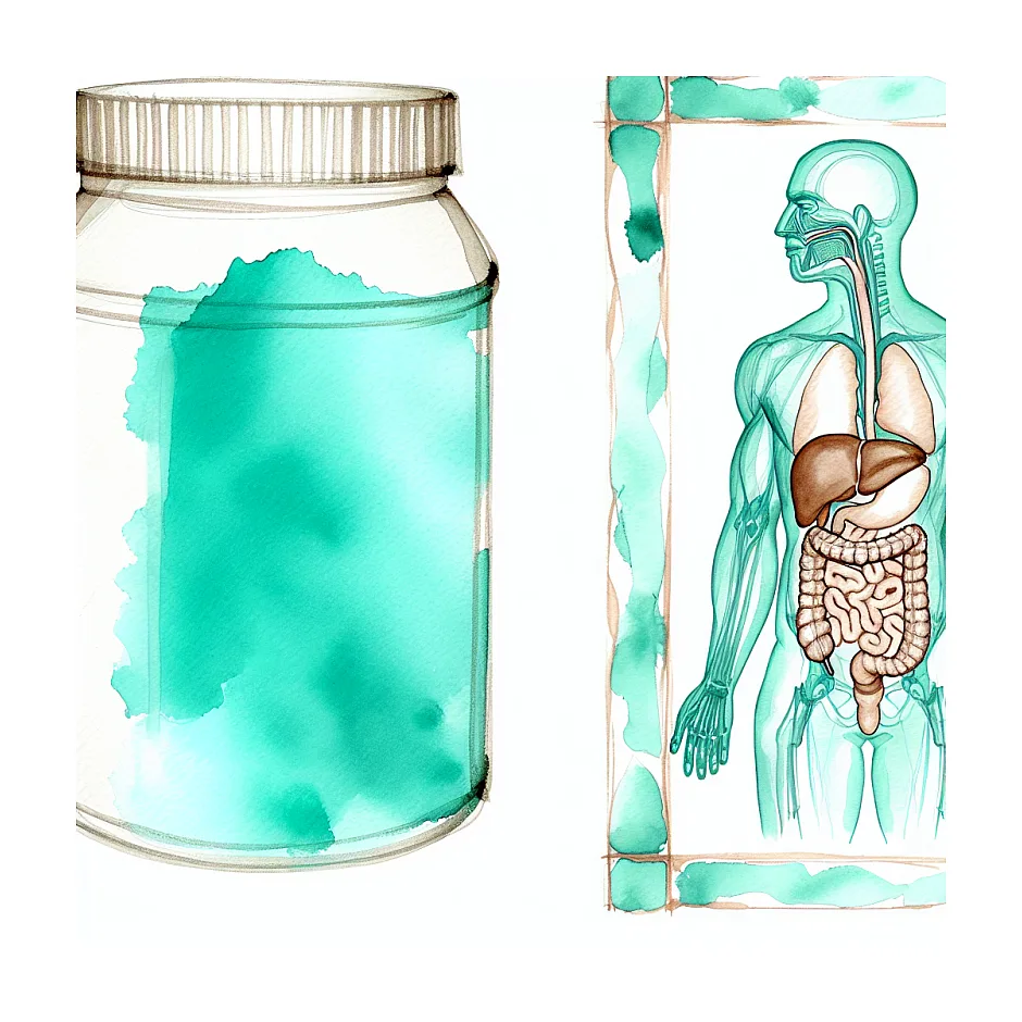 مصرف پودر انشور برای چاق شدن؛ ضرر دارد؟