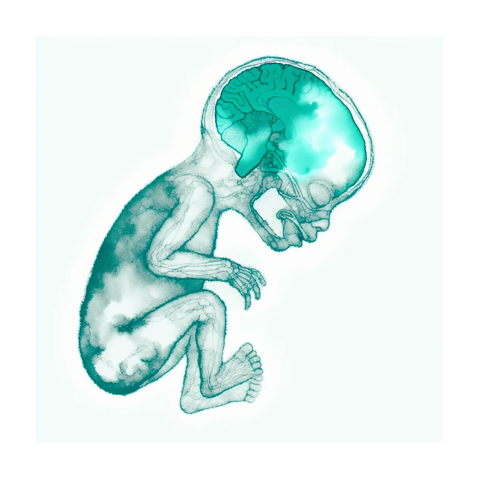 میزان خواب نوزاد ۱۲ روزه و نکات مهم