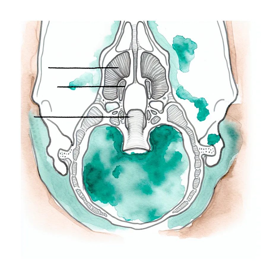 همزمان دادن نئوتادین و سیتریزین به نوزاد ۸ ماهه