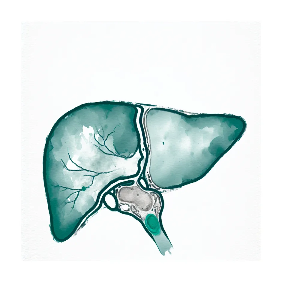 توده هیپواکو کبد و کیست کلیه؛ خوش‌خیم یا سرطان؟