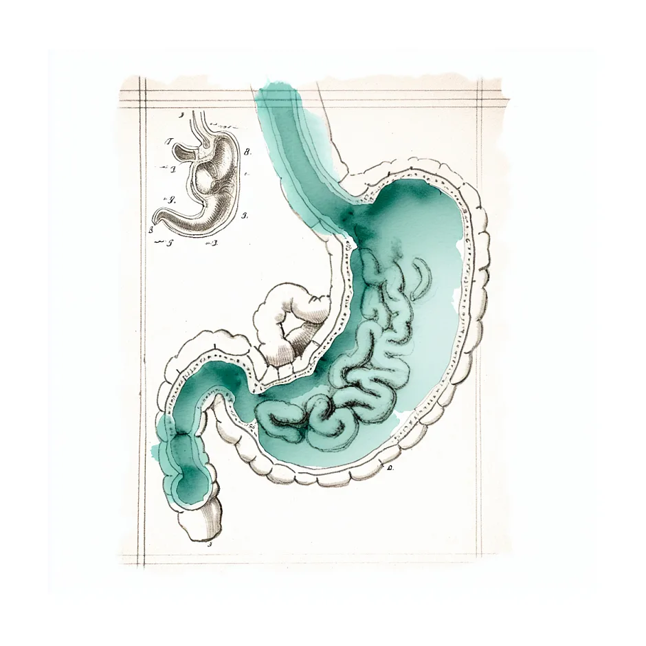 مصرف گالاکتومید در شیردهی و تاثیر بر نوزاد