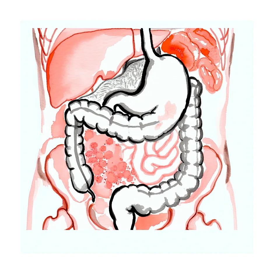مصرف سماق در بارداری و خطر کم‌خونی