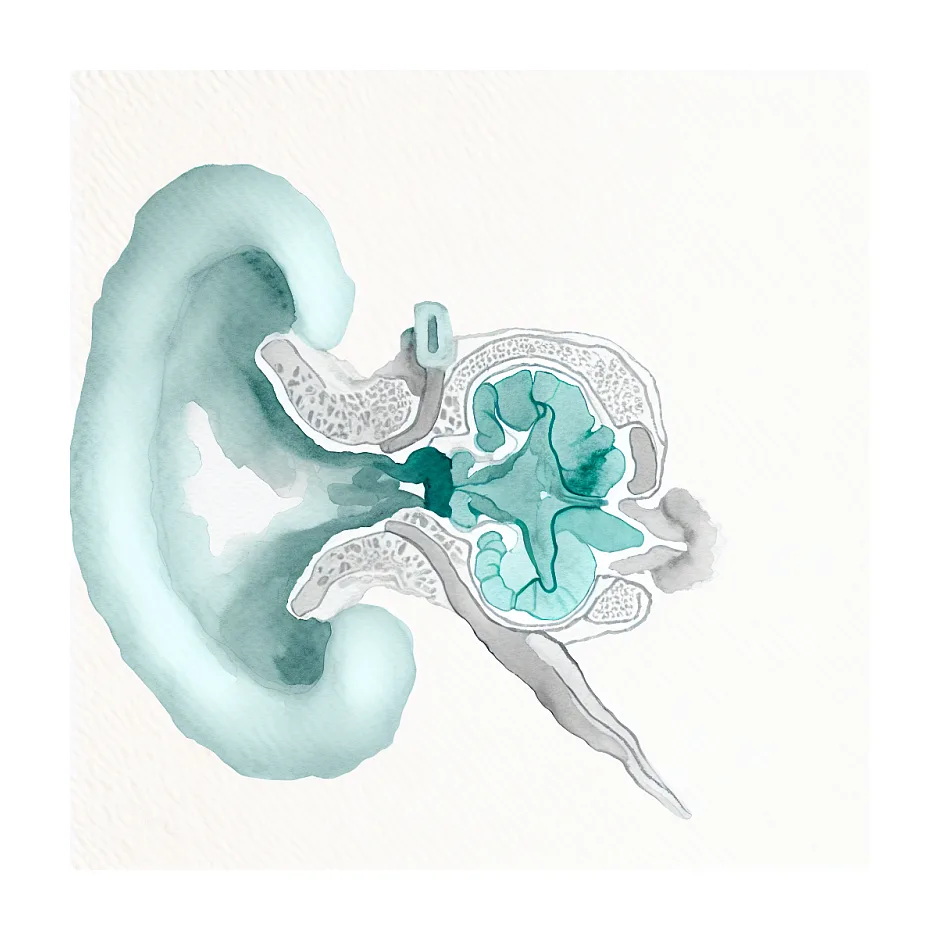 سرگیجه بعد از سرماخوردگی و آنفولانزا؛ چه کنیم؟