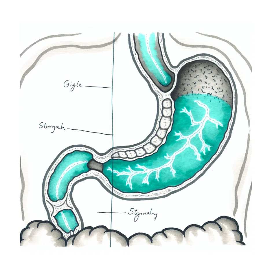 علت و درمان ضعف شدید معده و سرگیجه بعد غذا