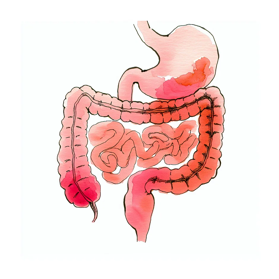 قطره آهن و مولتی ویتامین بعد از دو سالگی کودک