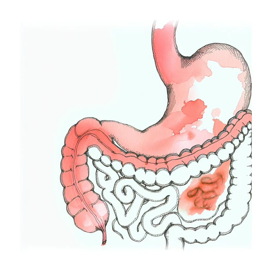 دفع بلافاصله بعد غذا؛ طبیعی است یا نگران‌کننده؟
