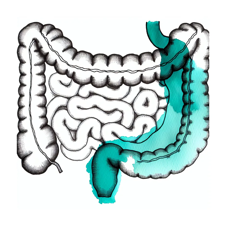 آیا طبع سرد و گرم غذاها علمی است؟