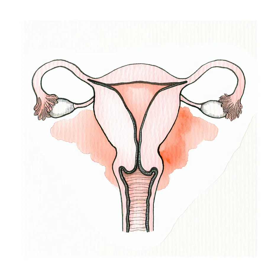 آیا استرس باعث از دست رفتن بارداری می‌شود؟