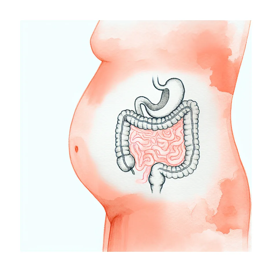 مصرف آب قلم در بارداری، مجاز است یا نه؟