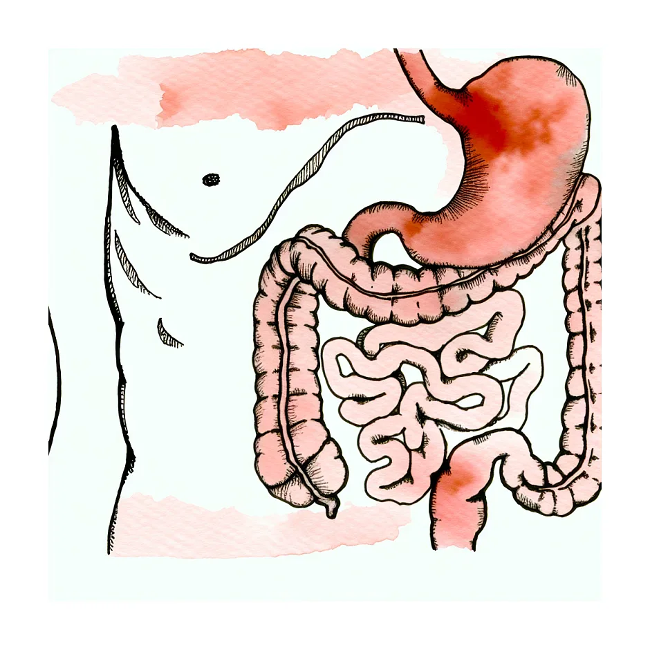 استئوفوس ۷۰: عوارض گوارشی و کنترل وضعیت سلامتی