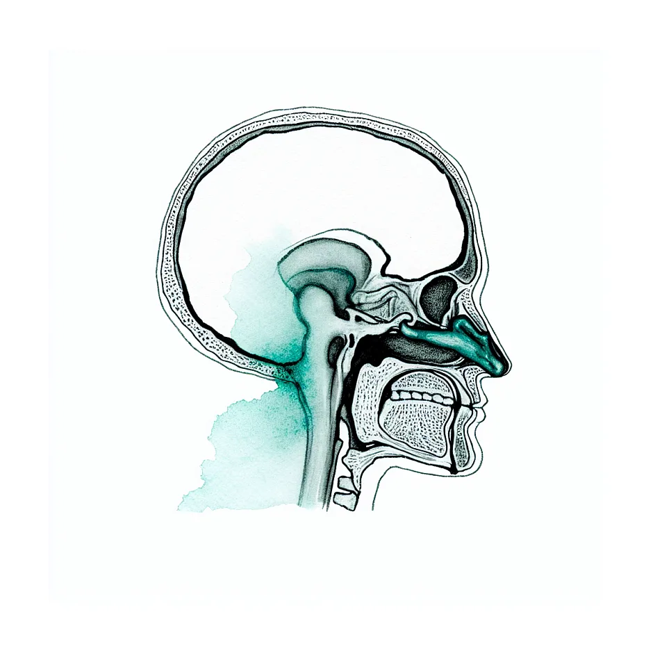 آیا گرفتگی بینی به علت شکستگی می‌تواند در راه تنفس اختلال ایجاد کند؟