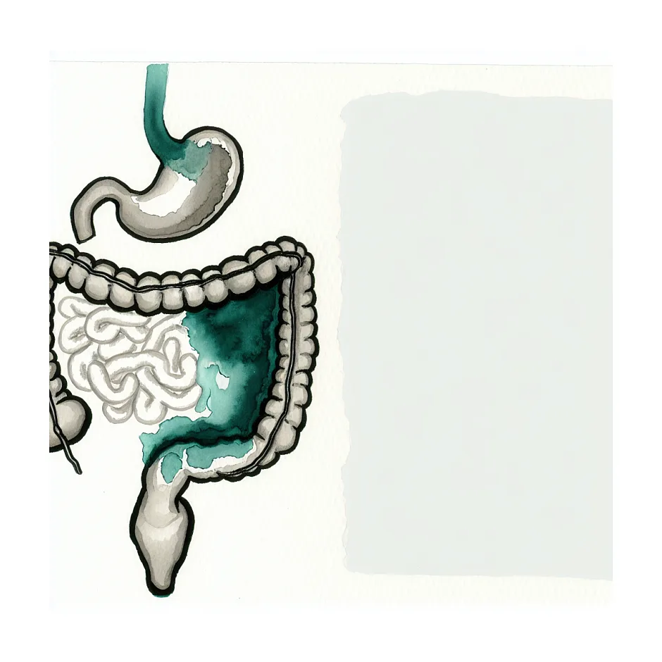 بعد از یک سالگی شیر گاو بهتر است یا شیرخشک؟