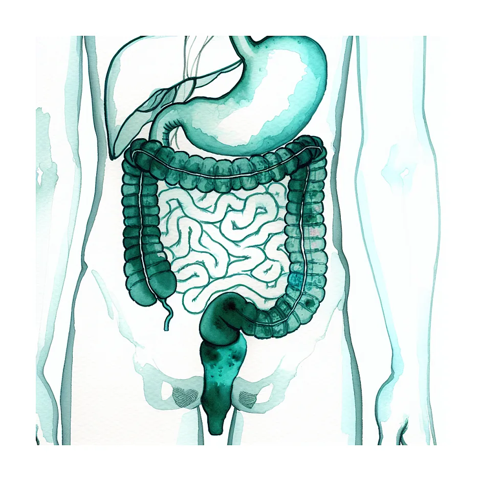 خوردن برنج آلوده به فضله موش؛ چه باید کرد؟