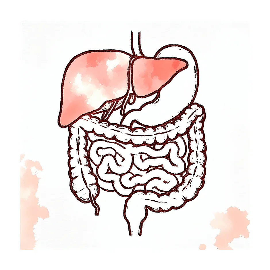 خوردن دل و قلوه در بارداری خوب است یا مضر؟