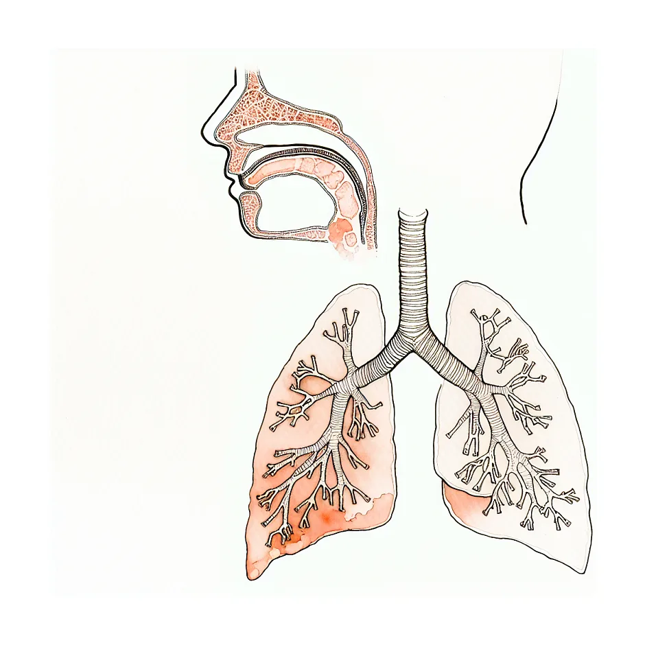 دوز مناسب شربت آزیترومایسین ۱۰۰ برای کودک ۱۳ ماهه