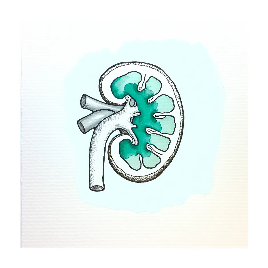 کوچک شدن کلیه و کراتینین ۴؛ راه‌ها و محدودیت درمان