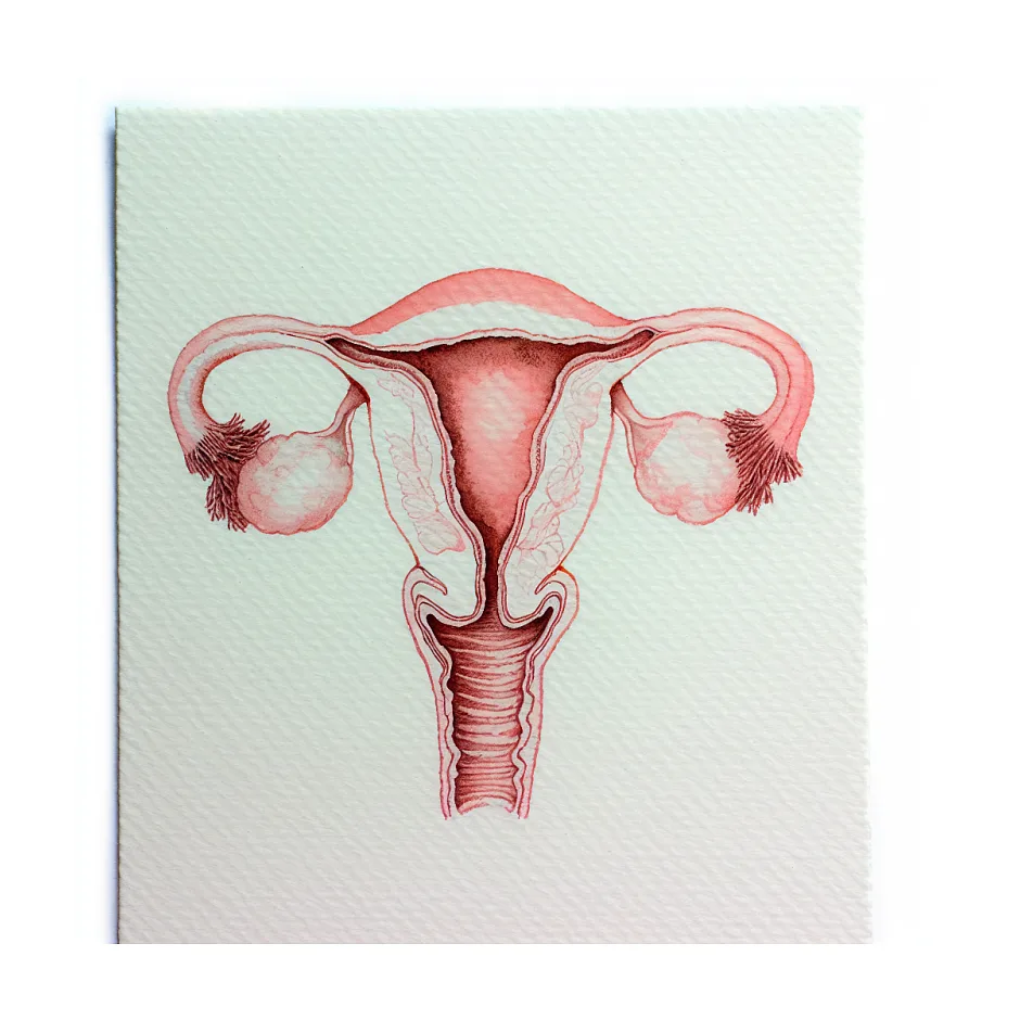 استفاده از استامینوفن در مرحله بارداری: امن یا خطر؟