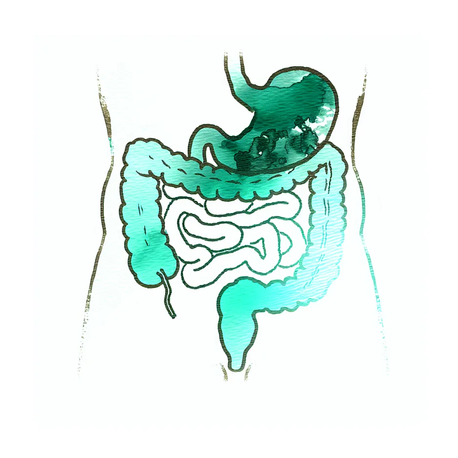 احساس حرکت و سوزن‌سوزن شدن در شکم و دیدن چیز سفید در مدفوع