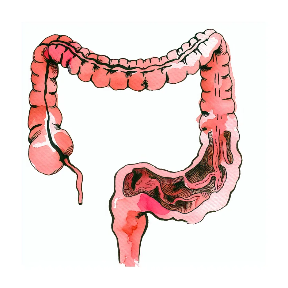 علت کم شدن حجم مدفوع و راه‌های پیگیری