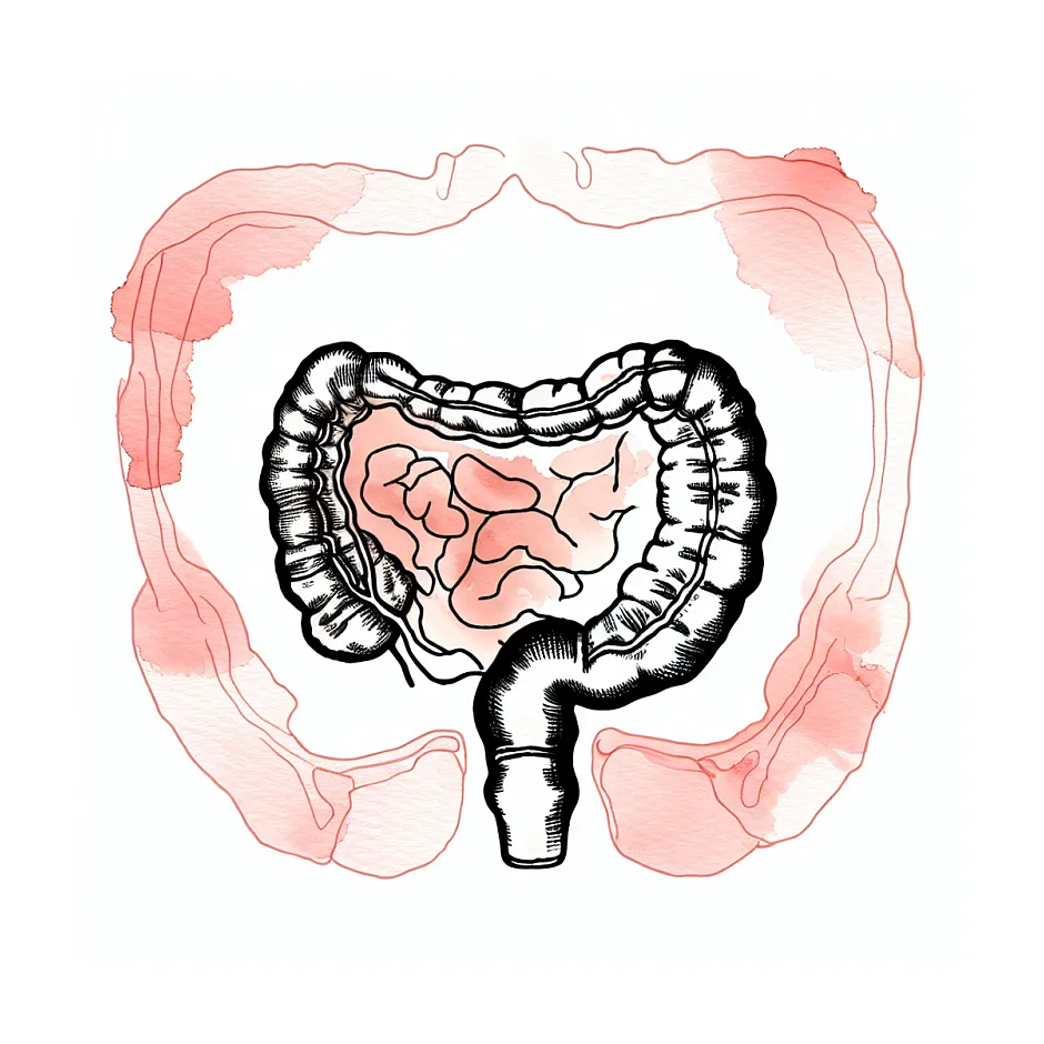 احساس حرکت در مقعد؛ آیا نشانه کرم روده است؟